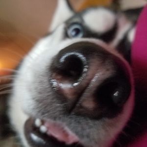 Meet your Posher, Rita